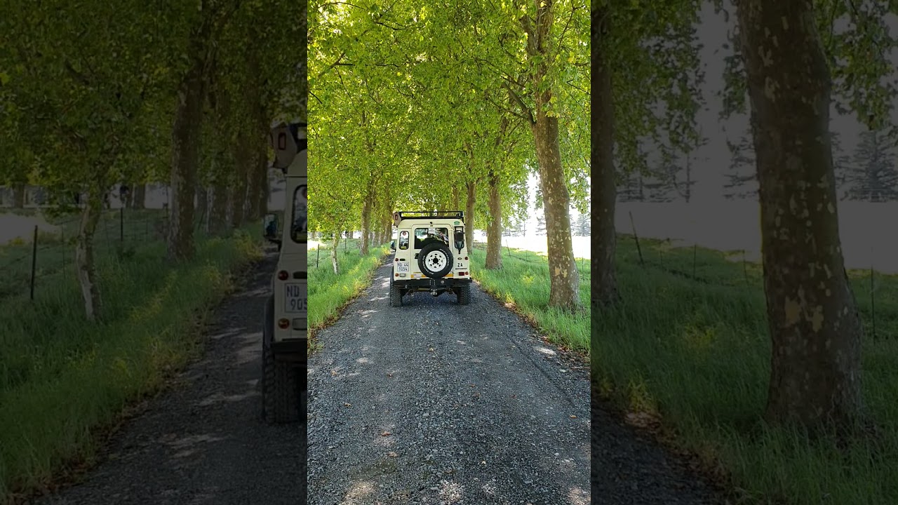 The wheels of African Travel Bird