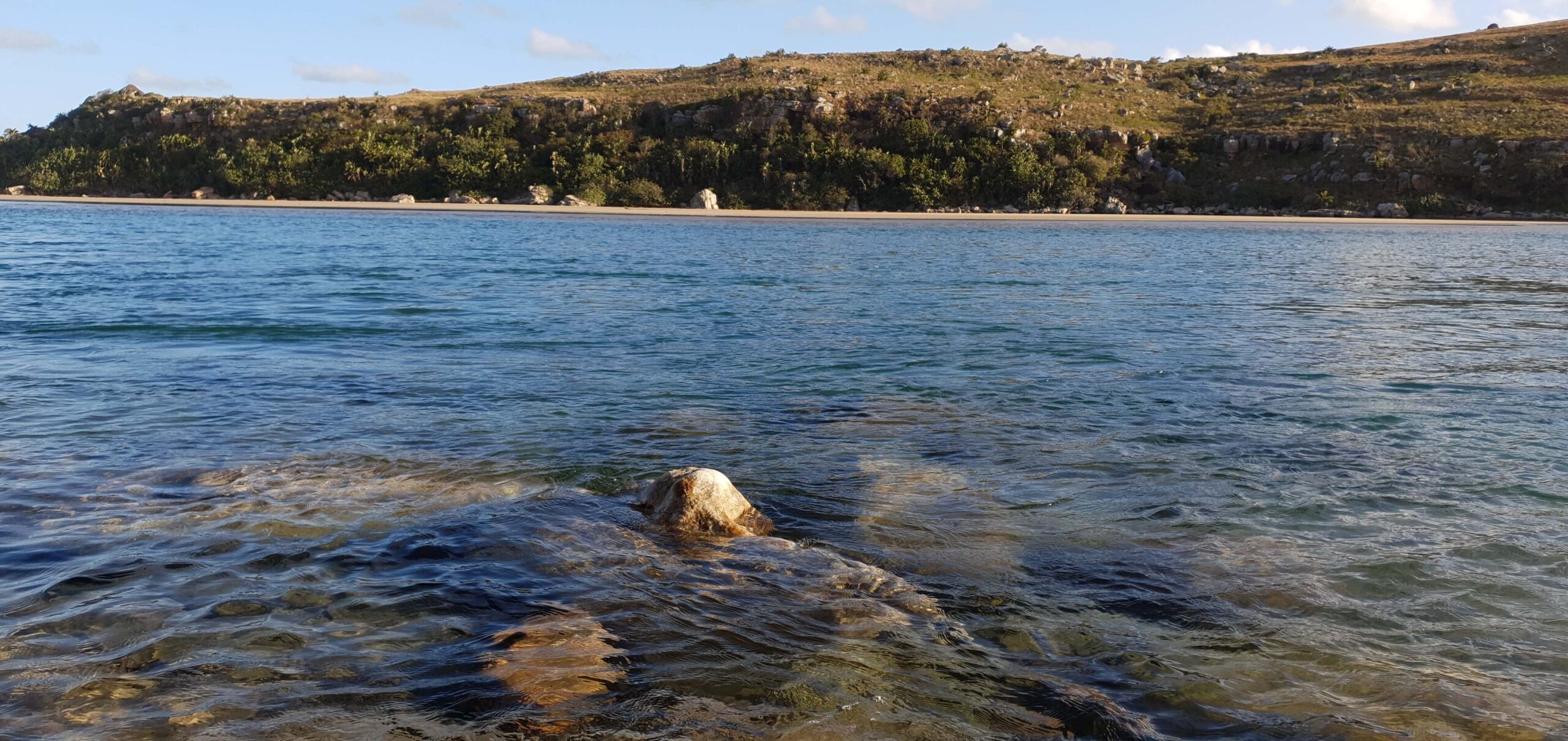 Estuary at Mtentu