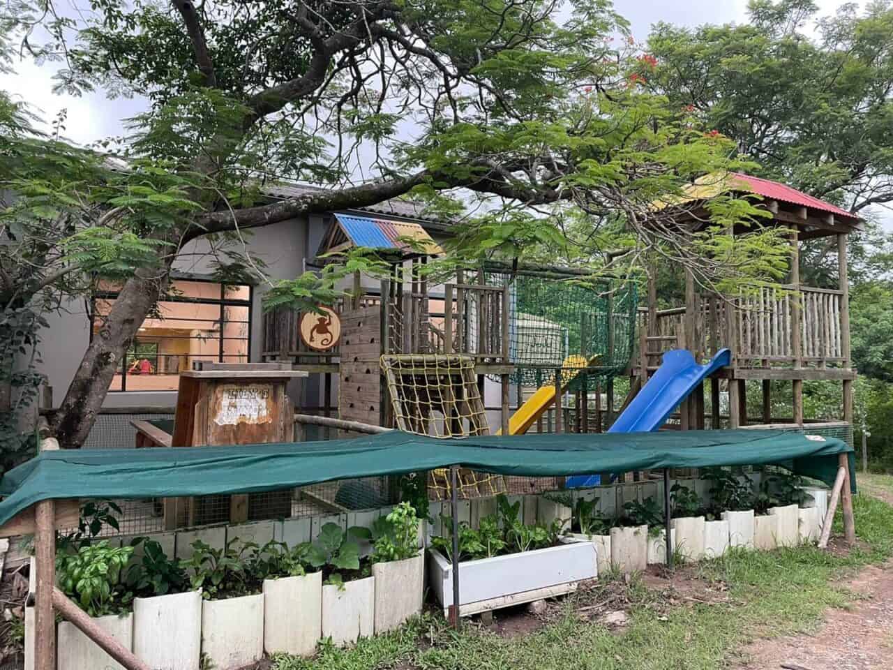 Monkeyland KZN Durban Ballito The world's first free roaming multi