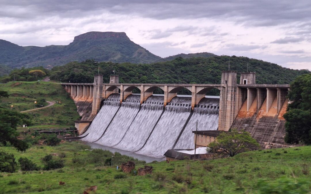 Nagle Dam: Where the Wild Things Are (Mostly Us)