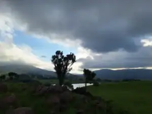 Copperleigh A Fly Fishermans Dream