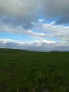 Copperleigh Trout Cottages